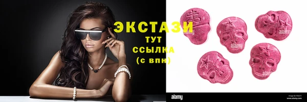 хмурый Магас