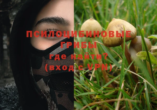 PSILOCYBIN Лиски