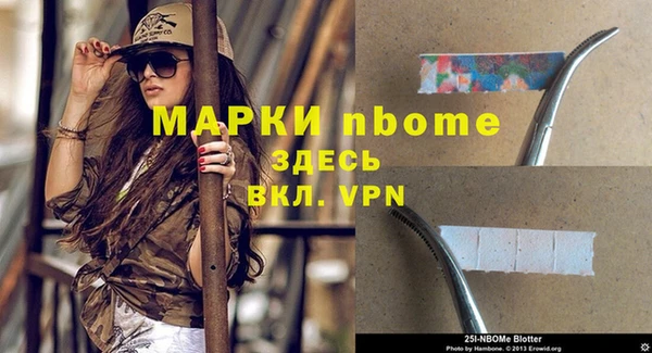 хмурый Магас