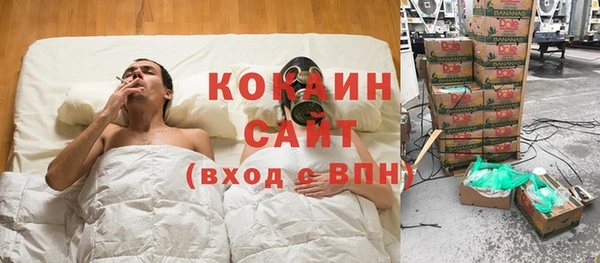 хмурый Магас