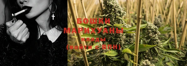PSILOCYBIN Лиски