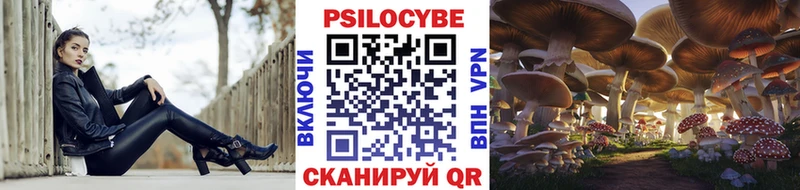 что такое   Родники  Галлюциногенные грибы Cubensis 